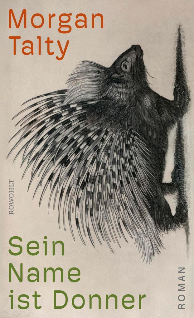 ebook Morgan Talty: Sein Name ist Donner bei ebook.de