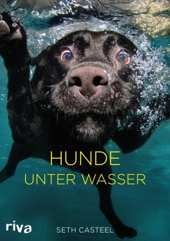buecher Hunde unter Wasser (eBook PDF) von Seth Casteel - bücher.de